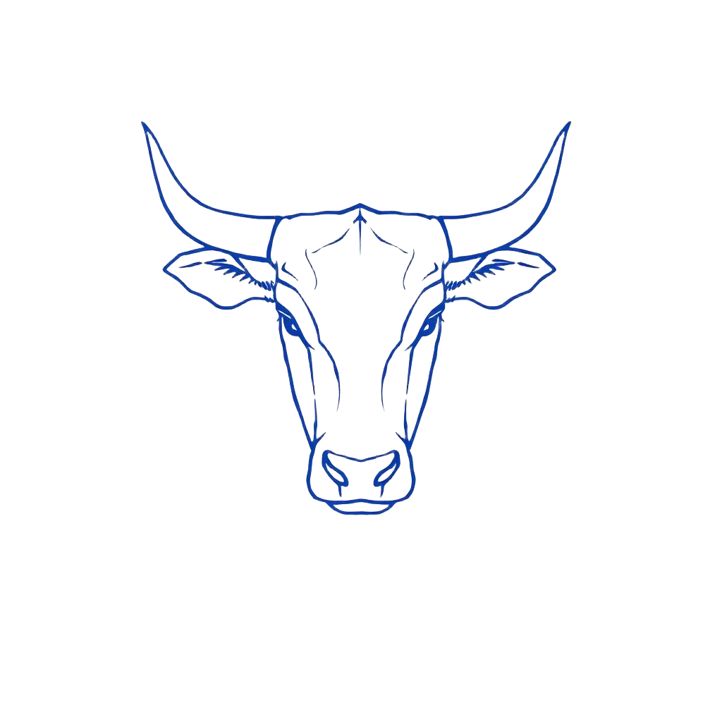 The ox of Aleph
